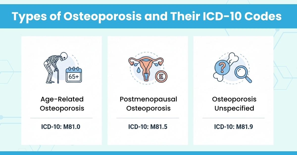 Types of Osteoporosis and Their ICD-10 Codes