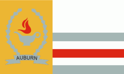 Medical Billing in Auburn